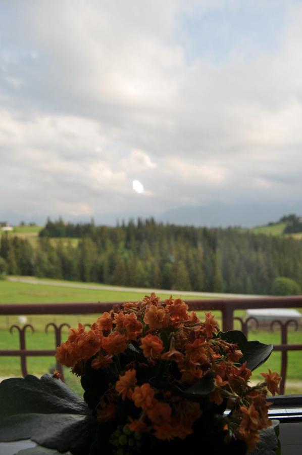 Pokoje u Marysi Leśnica Zewnętrze zdjęcie
